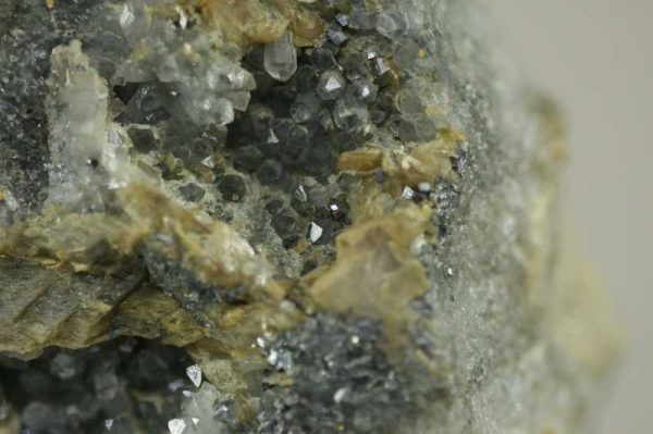 Siderit, Arsenopyrit, Calcit, Quarz