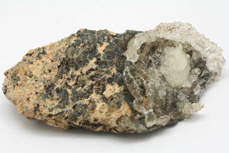 Hyolith