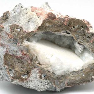 Hyolith