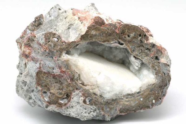 Hyolith