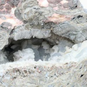 Hyolith