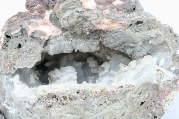 Hyolith
