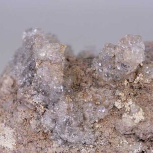 Hyolith