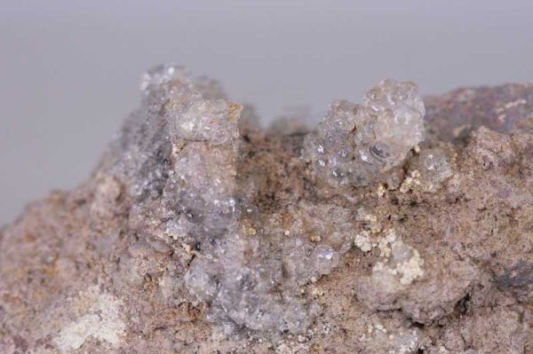Hyolith