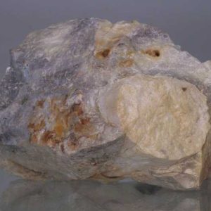 Opalisiertes Holz