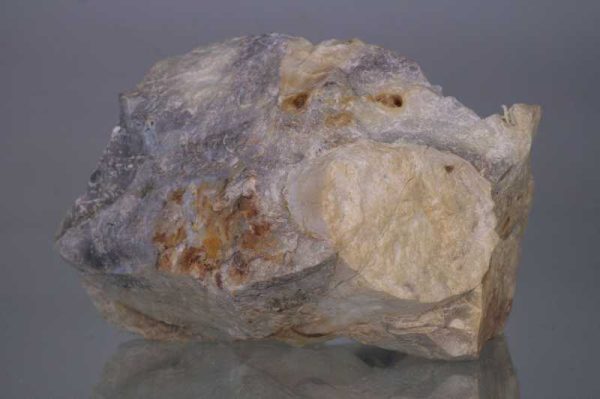 Opalisiertes Holz