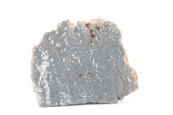 Araukarit – Bild 2