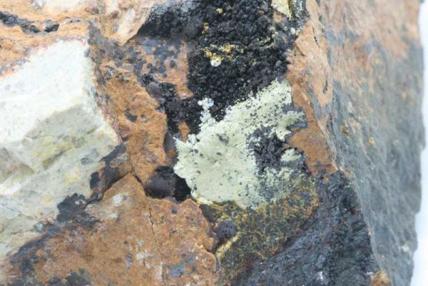 Meurigit, Kakoxen – Bild 2