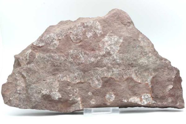 Wavellit – Bild 2