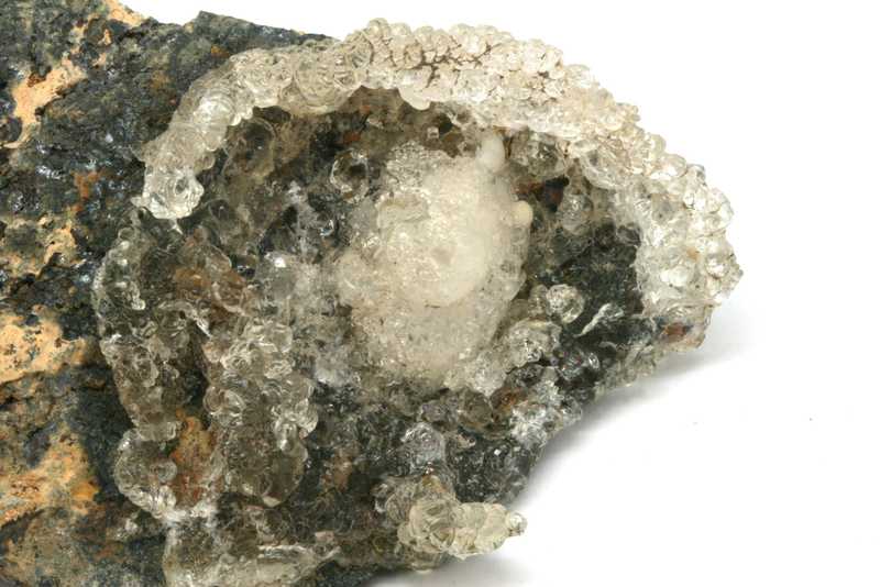 Hyolith – Bild 2