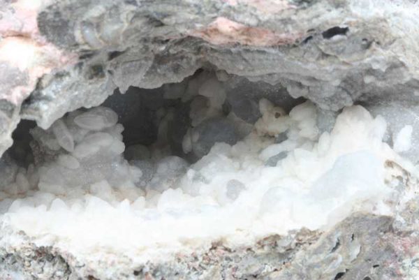 Hyolith – Bild 2