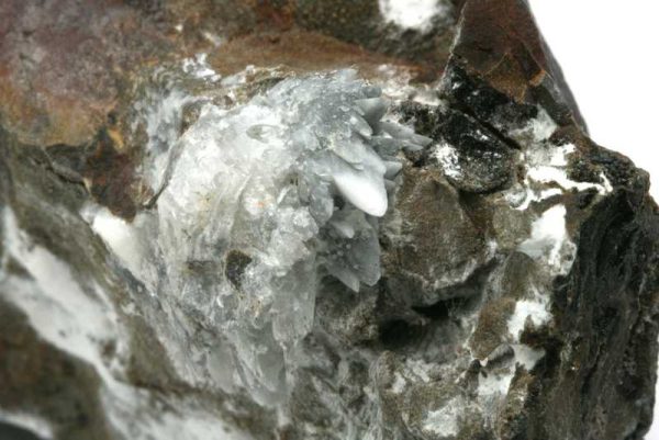 Whewellit – Bild 2