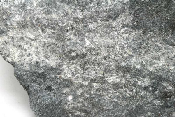Valentinit – Bild 2