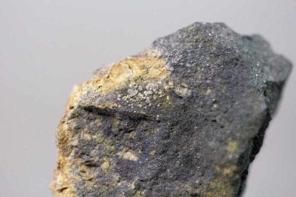 Valentinit – Bild 2