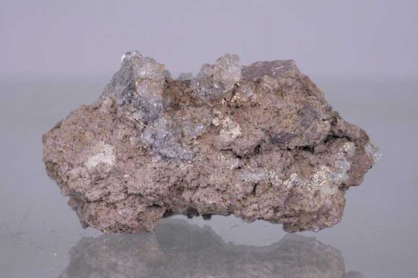 Hyolith – Bild 2
