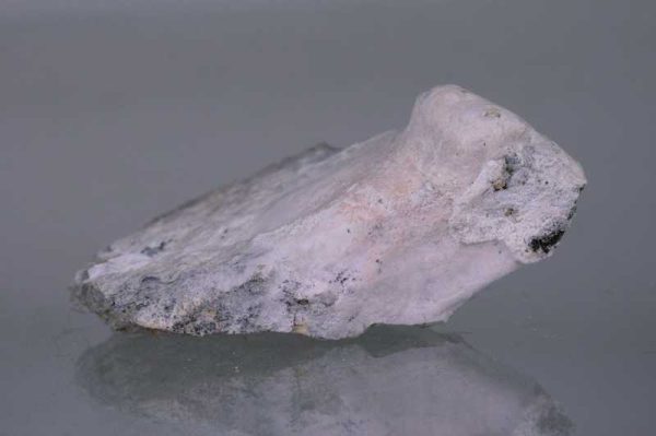 Köttigit – Bild 2