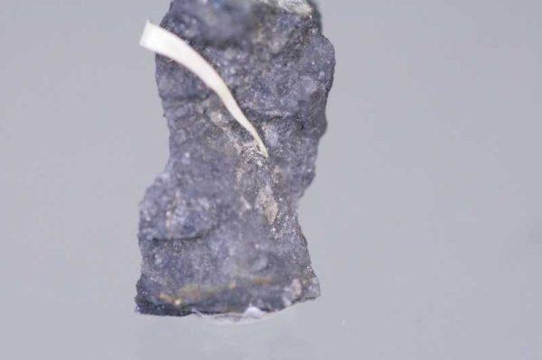 Gold, Aurostibit – Bild 2