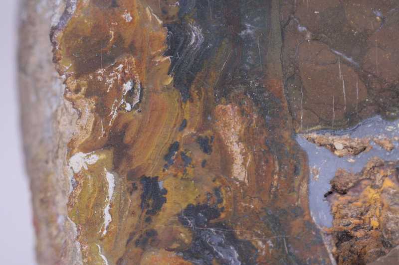 Železitý křemen se stromatolity – Bild 2