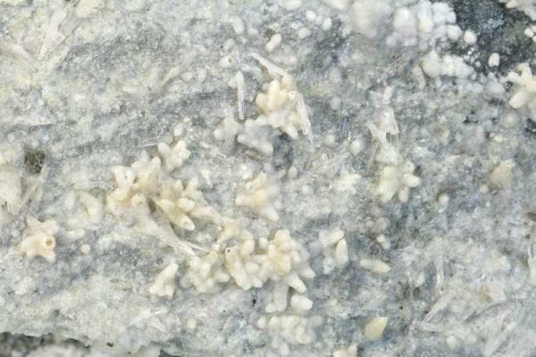 Aragonit, Calcit – Bild 2