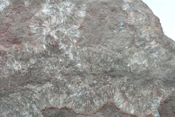 Wavellit – Bild 3
