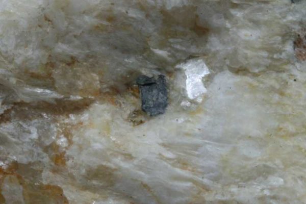Columbit – Bild 3