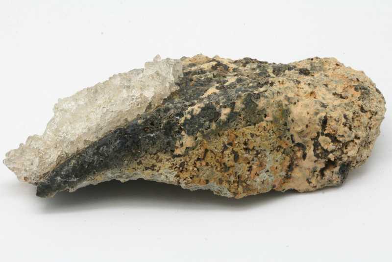 Hyolith – Bild 3
