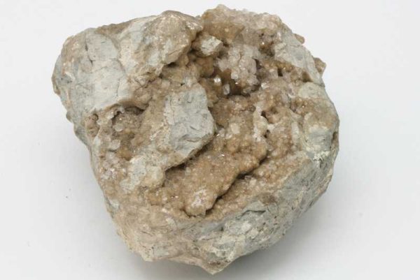 Cölestin – Bild 3