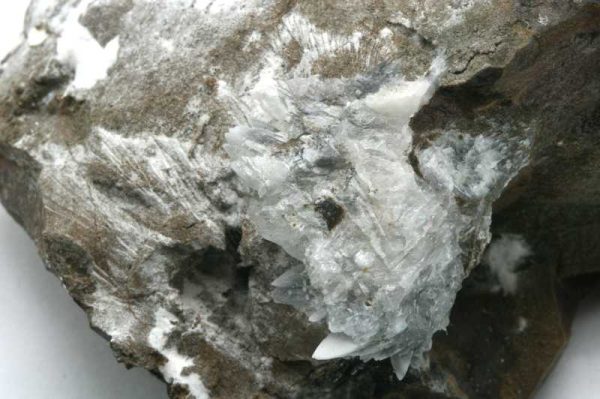 Whewellit – Bild 3