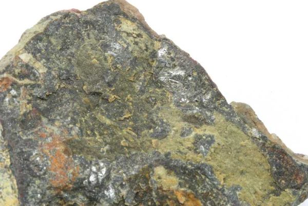 Karibibit – Bild 3