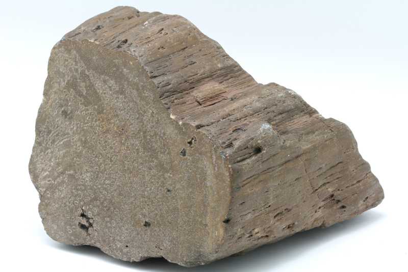 Araukarit – Bild 3