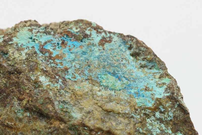 Camerolait – Bild 3