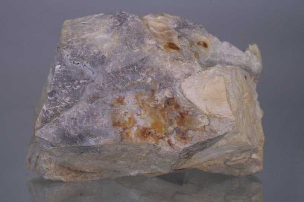 Opalisiertes Holz – Bild 3