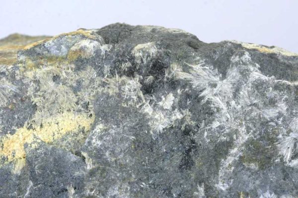 Valentinit – Bild 3