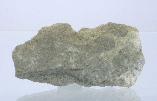 Wavellit – Bild 3