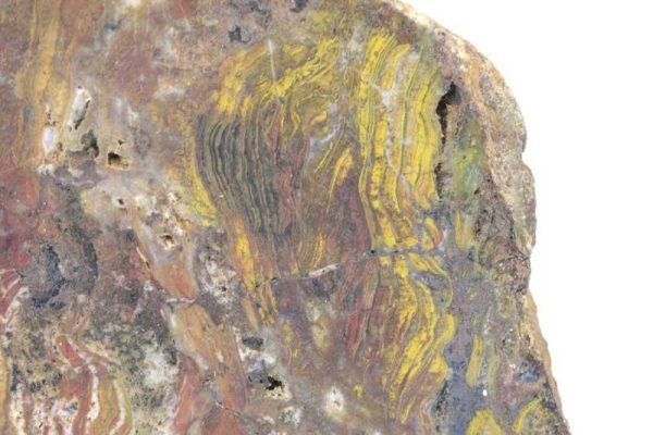 Eisenhaltiger Quarz mit Stromatolithen – Bild 3