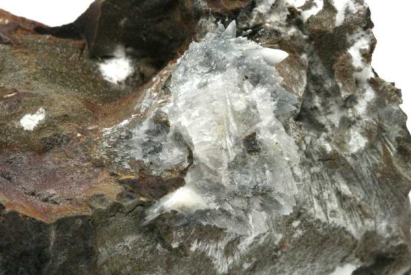Whewellit – Bild 4