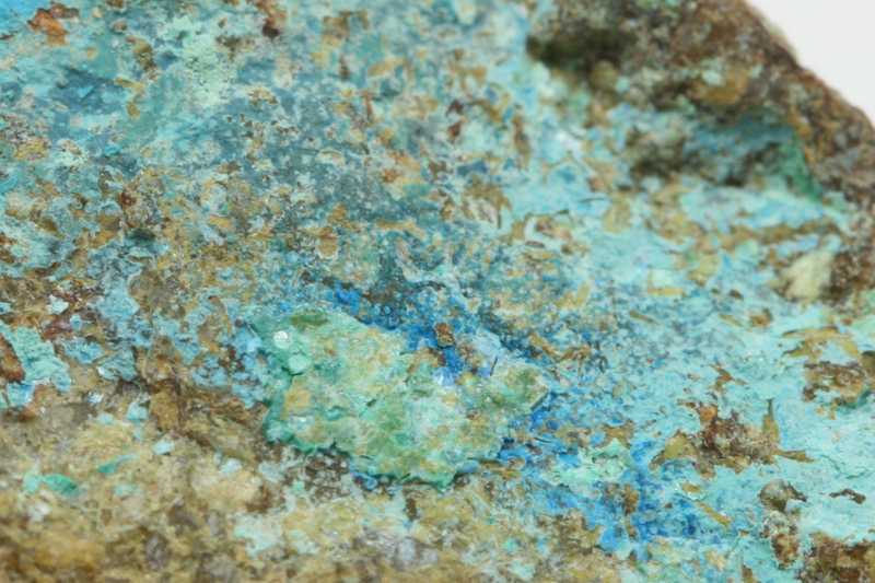 Camerolait – Bild 4