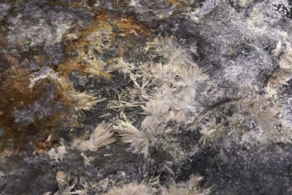 Valentinit – Bild 4