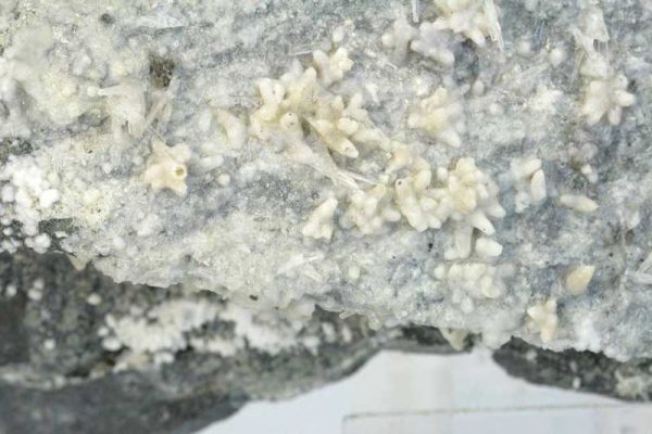 Aragonit, Calcit – Bild 4