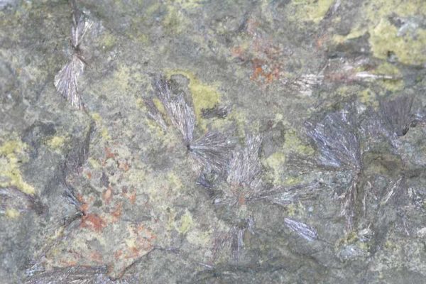 Kermesit, Antimonit – Bild 4