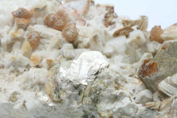 Hydroxylherderit, Albit – Bild 3