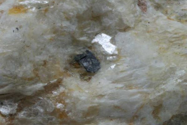 Columbit – Bild 4
