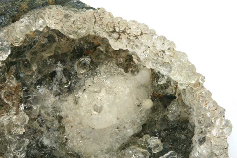 Hyolith – Bild 4