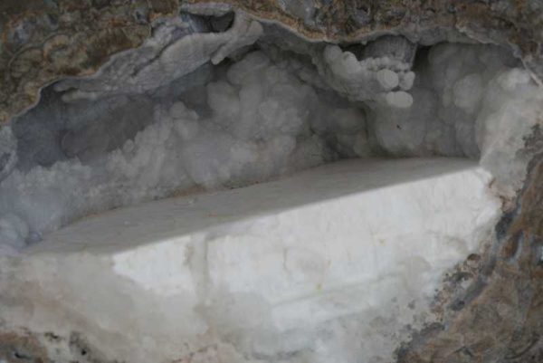 Hyolith – Bild 4