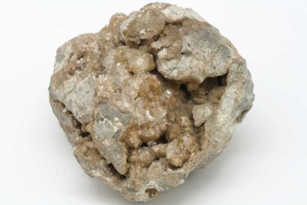 Cölestin – Bild 4