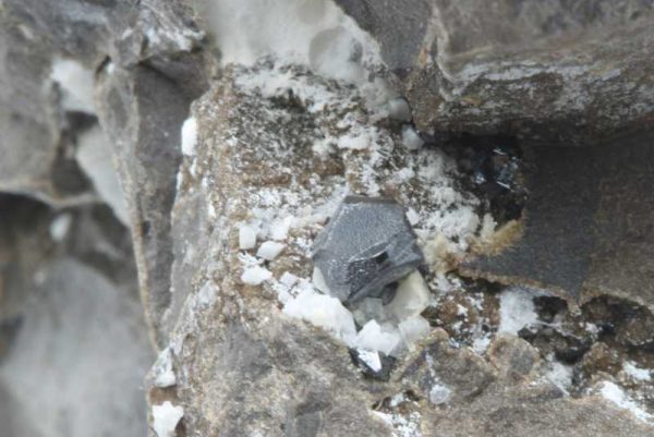 Whewellit, Sphalerit – Bild 5