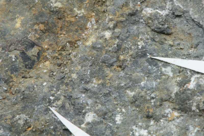 Brandholzit – Bild 5