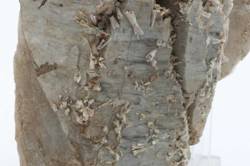 Quarz, Apatit – Bild 5