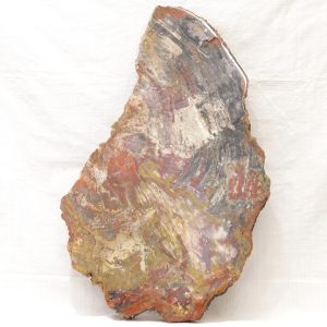 Opalisiertes Holz