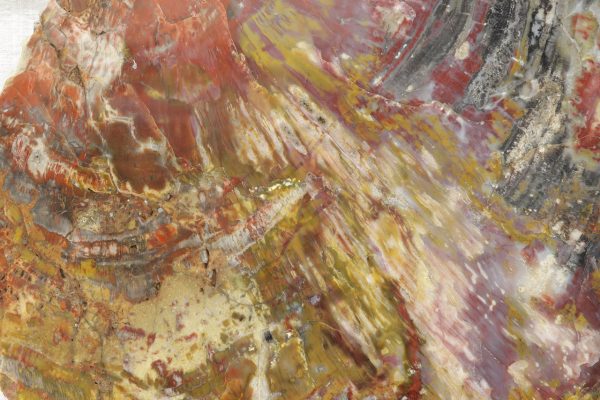 Opalisiertes Holz – Bild 7